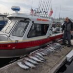 Salt Shaker charter fishing boat docked beside a large lineup of freshly caught albacore tuna.