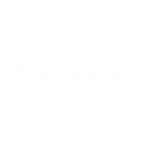 humminbird logo